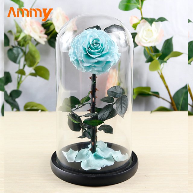 Ammy wedding favors Preserved Flower Rose Big Prince Roses Forever Flowers Eternal Roses In Glass Dome For Valentines Day Gifts
