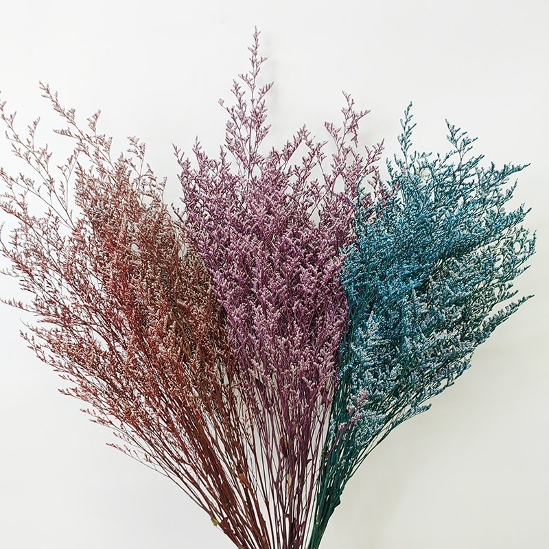 Yunnan Direct Wholesale Preserved Caspea Limonium Dry Natural Express Flowers Arrangement Wedding Christmas Graduation