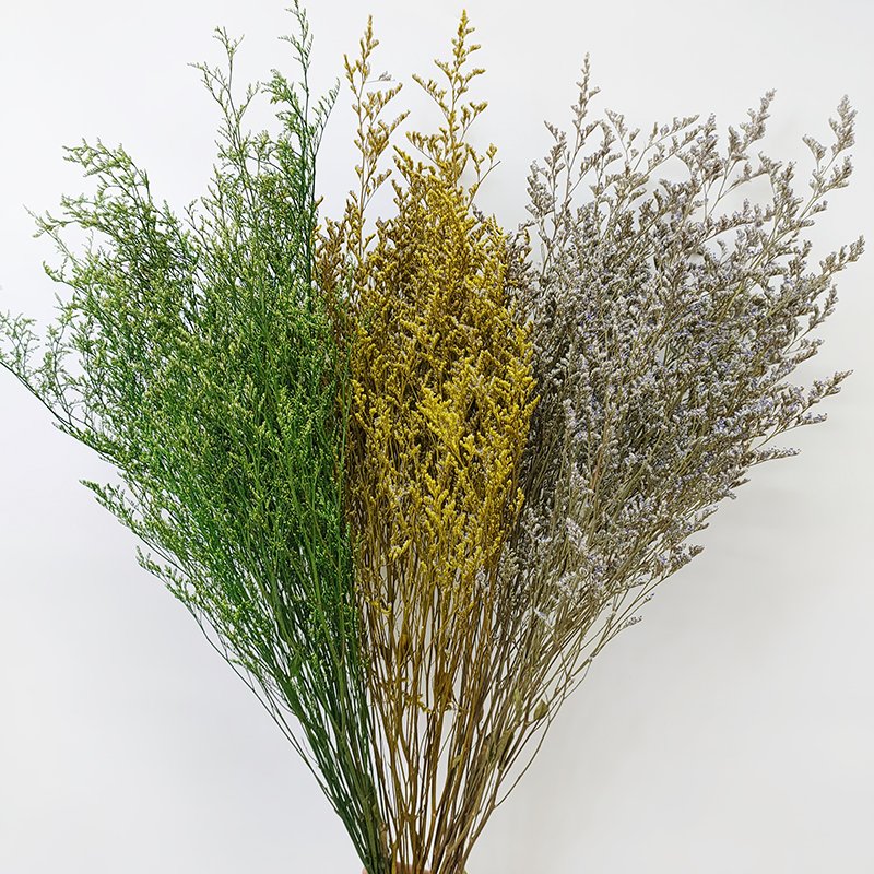 Yunnan Direct Wholesale Preserved Caspea Limonium Dry Natural Express Flowers Arrangement Wedding Christmas Graduation