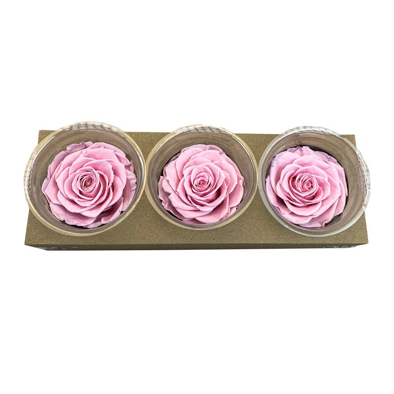 High Quality Preserved Roses 7-8 cm-Pack of 3 Colorful Preserved Roses head for Wedding decor Floral Arrangement flowers