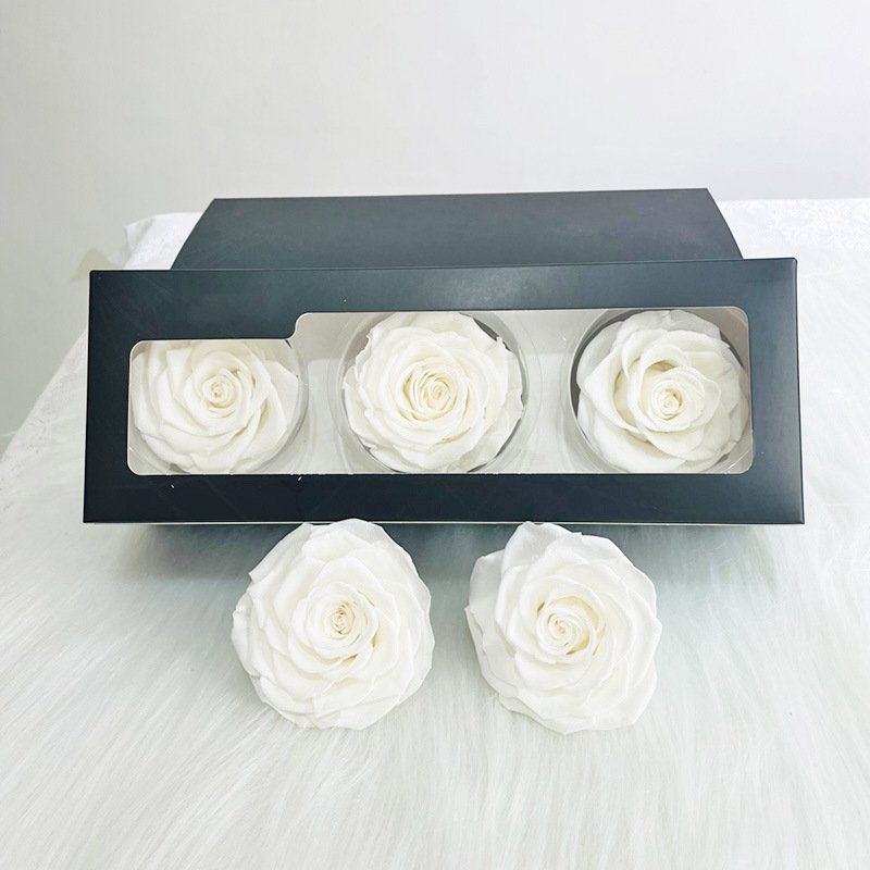 High Quality Preserved Roses 7-8 cm-Pack of 3 Colorful Preserved Roses head for Wedding decor Floral Arrangement flowers