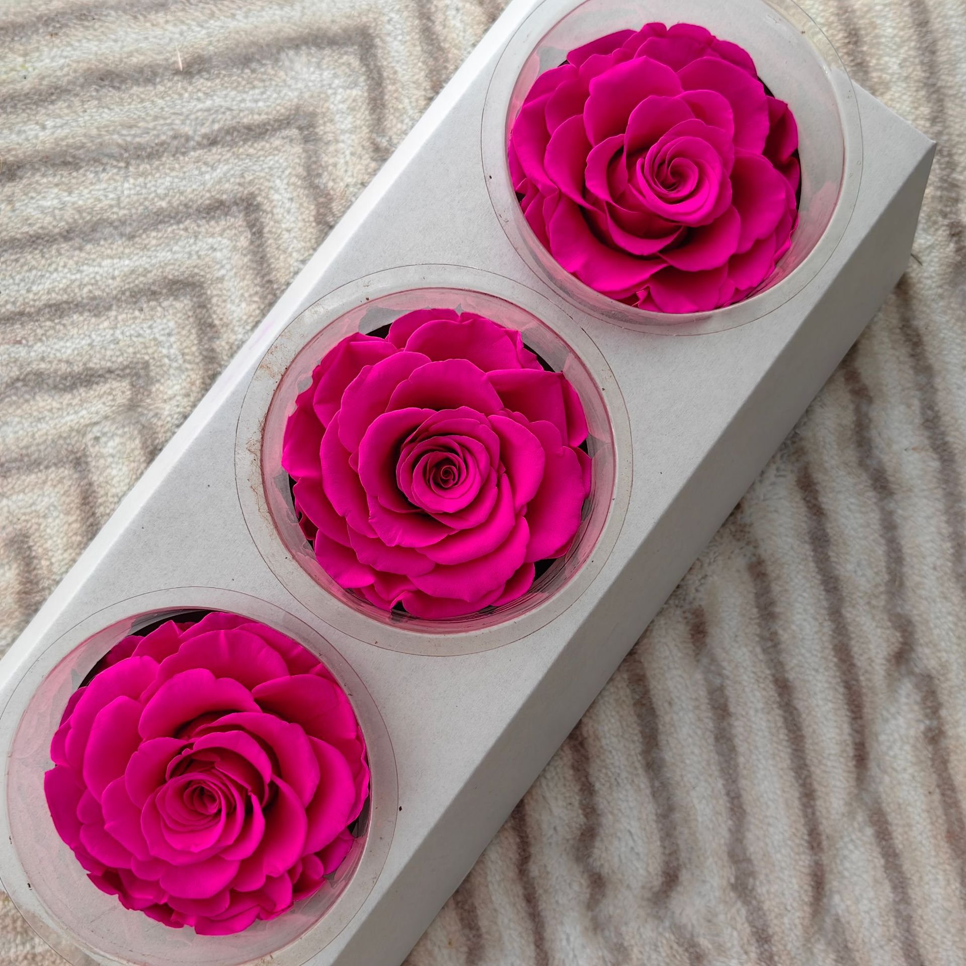 High Quality Preserved Roses 7-8 cm-Pack of 3 Colorful Preserved Roses head for Wedding decor Floral Arrangement flowers
