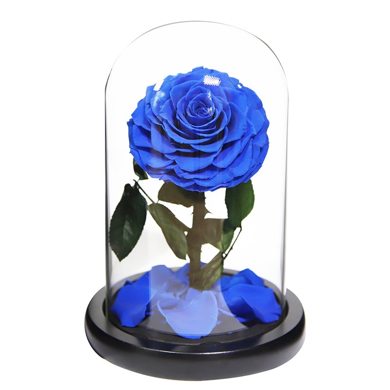 New Wholesale Customized Holiday Gifts For Mother's Day Birthday And Christmas Eternal Flower Preserved Real Rose In Glass Dome