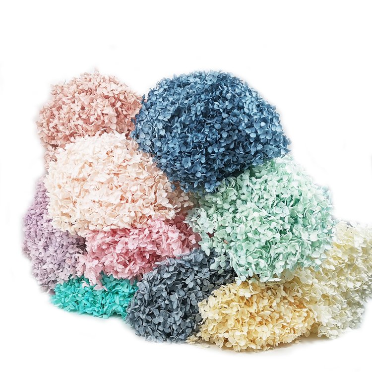 SumFlora High quality supply Party flower design natural plants preserved hydrangea flower for party decor