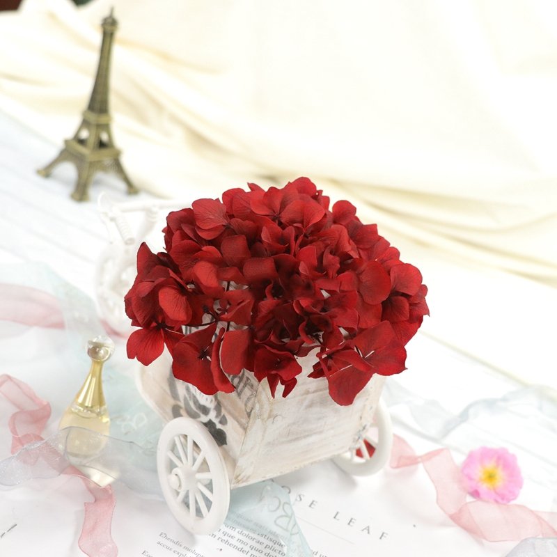 SumFlora High quality supply Party flower design natural plants preserved hydrangea flower for party decor