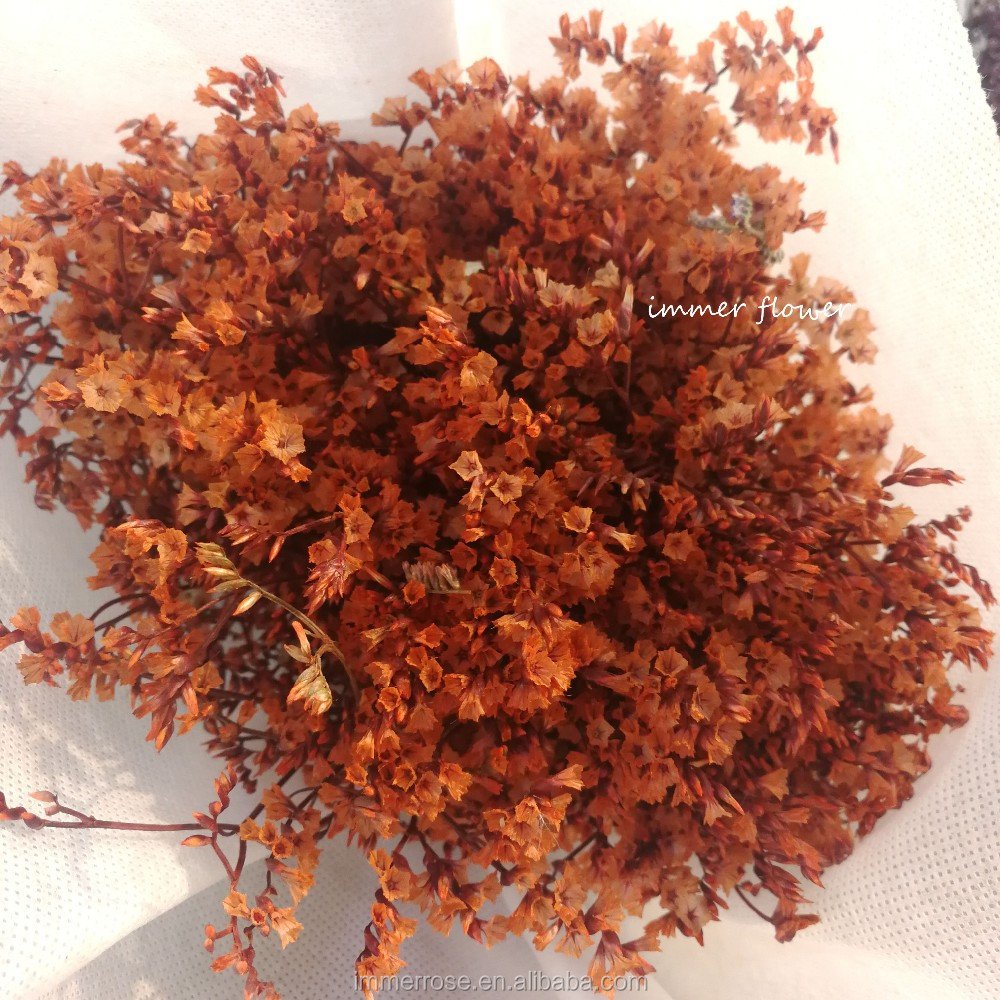Preserved Flower Crystal Grass Bouquet Dry Flower Cheap Wholesale