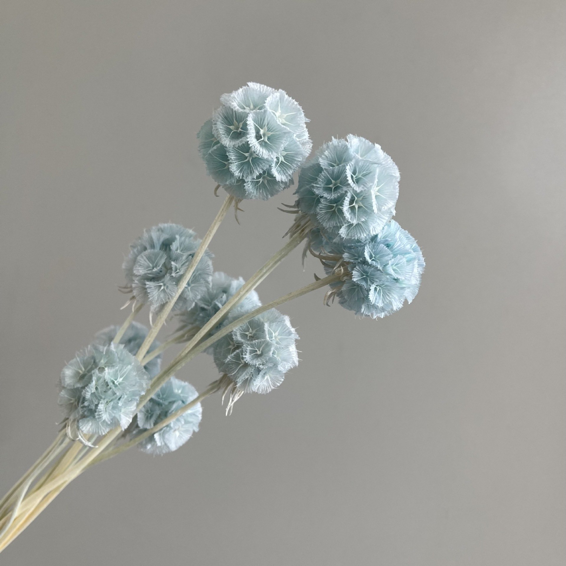 Amazon Hot Selling 2024 Home Decor Windmill Fruit Flower Scabiosa Artificial Flower For Flower Bouquet