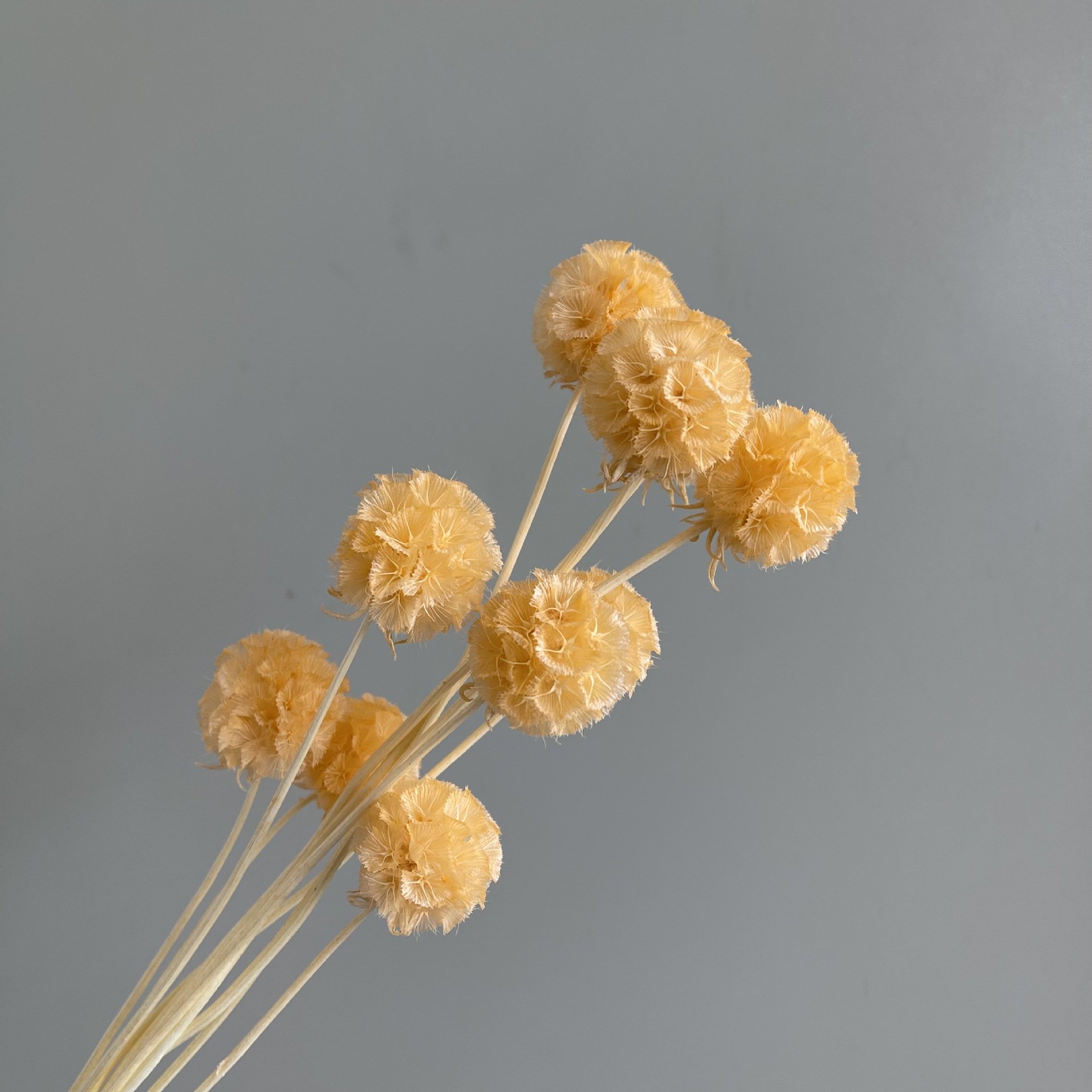 Amazon Hot Selling 2024 Home Decor Windmill Fruit Flower Scabiosa Artificial Flower For Flower Bouquet