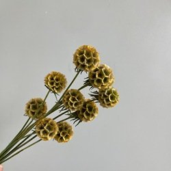green1