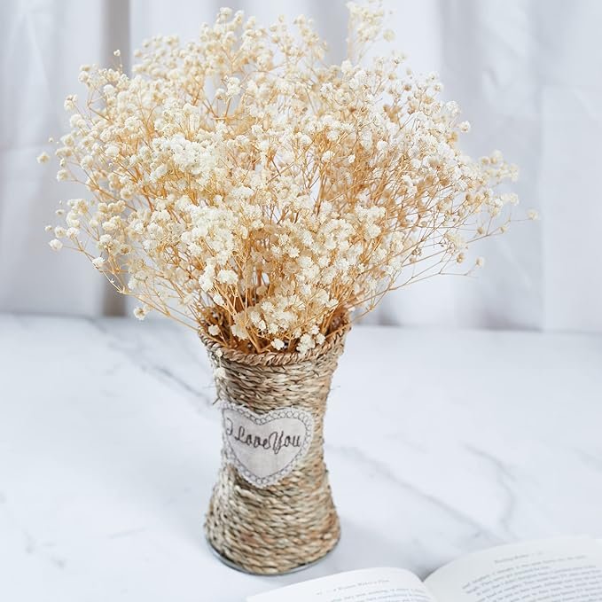 GM Preserved Baby's Breath Bunches 100% Natrual Fresh Gypsophila Long Lasting Flowers for Vase Arrangements Home Decoration