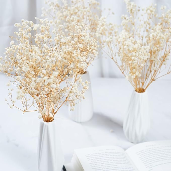 GM Preserved Baby's Breath Bunches 100% Natrual Fresh Gypsophila Long Lasting Flowers for Vase Arrangements Home Decoration