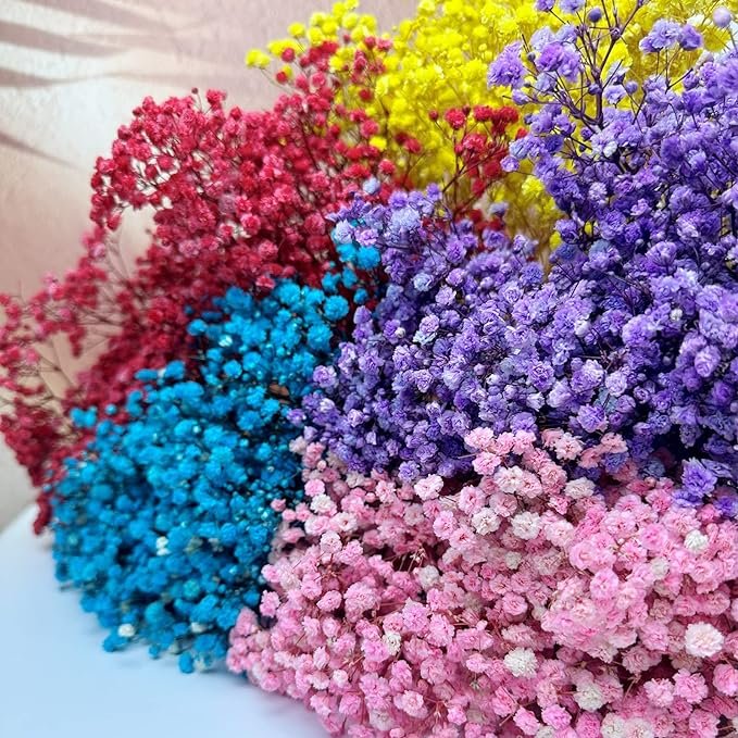 GM Preserved Baby's Breath Bunches 100% Natrual Fresh Gypsophila Long Lasting Flowers for Vase Arrangements Home Decoration