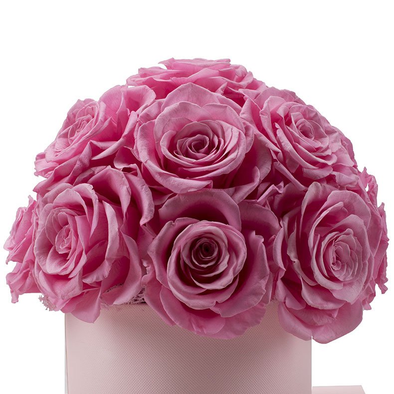 Wholesales Preserved Flowers Rose Head In Box Preserved Rose Dome Rose Decoration With Velvet Box