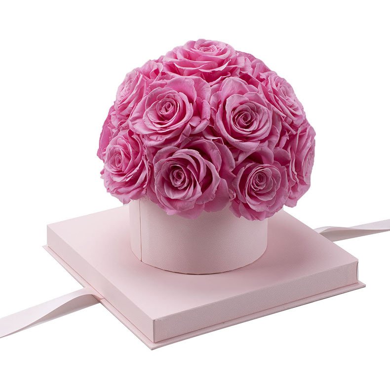 Wholesales Preserved Flowers Rose Head In Box Preserved Rose Dome Rose Decoration With Velvet Box