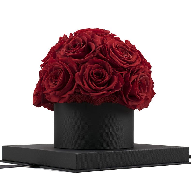 Wholesales Preserved Flowers Rose Head In Box Preserved Rose Dome Rose Decoration With Velvet Box