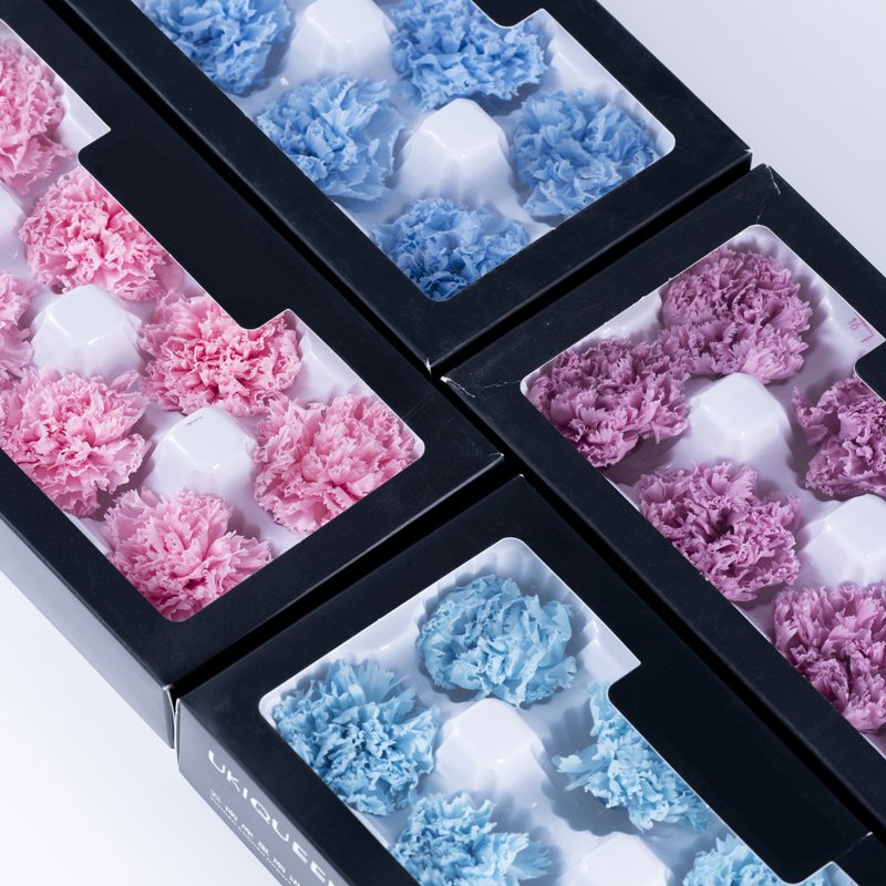 Hot Selling 4-5cm Preserved Carnation for Mother's Day Gifts Premium Quality Preserved Flowers & Plants