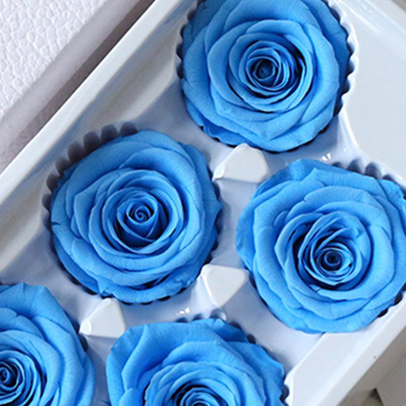 BESPORTBLE 1 Box Preserved Flowers for Birthday Forever Roses Preserved Real Roses Flower Heads Gifts Decor Immortal Wedding