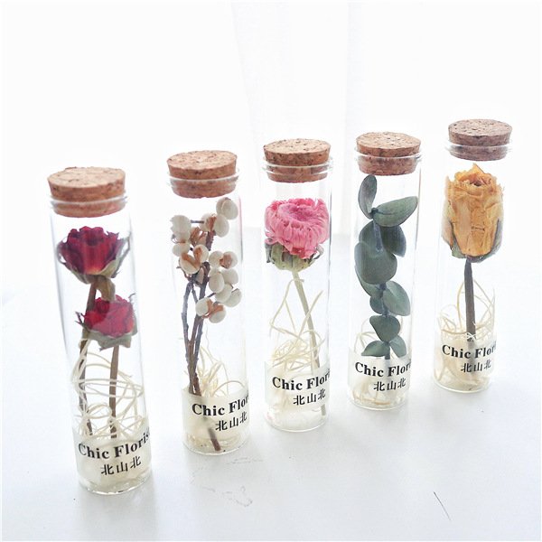 Real Preserved Roses Dried Flowers For Gifts