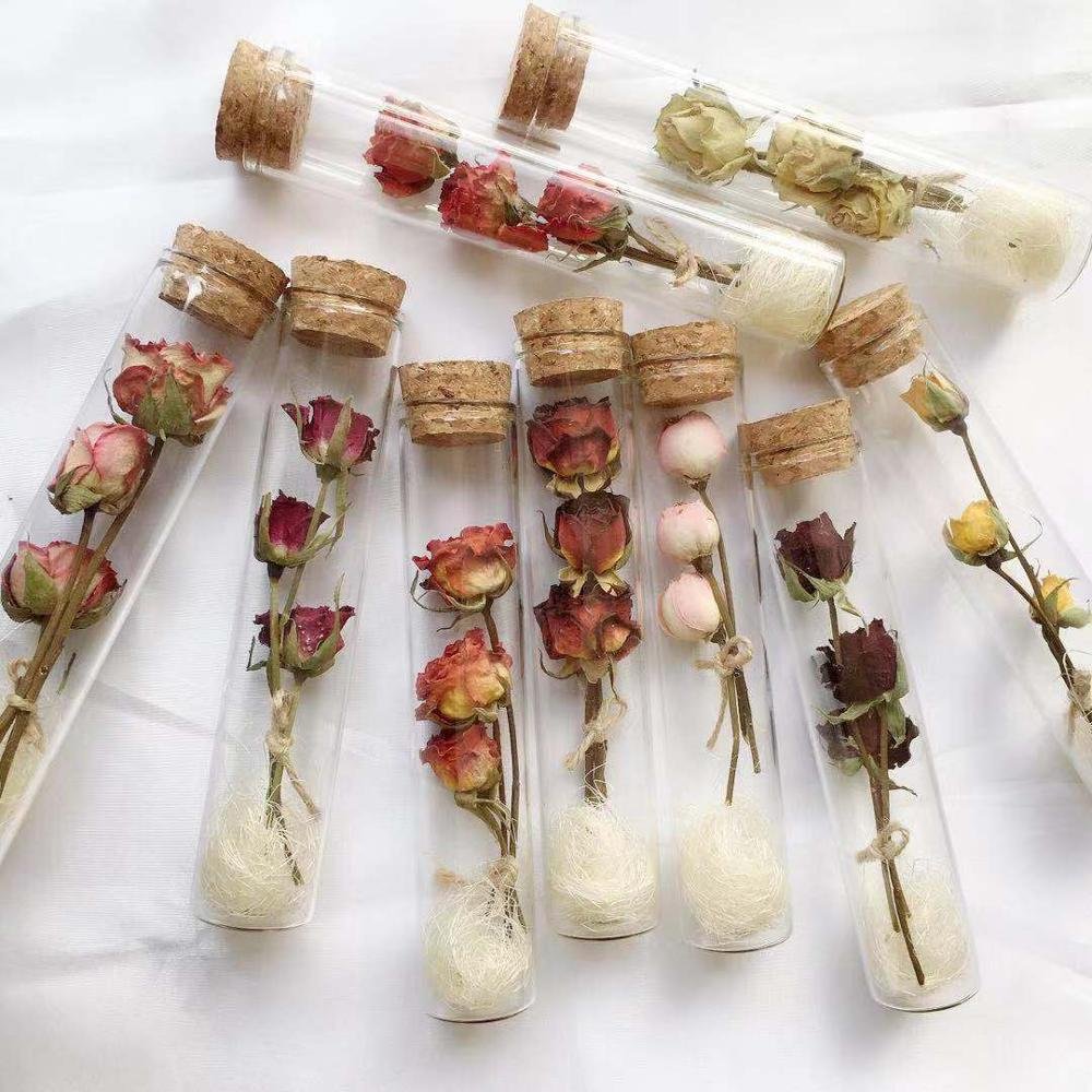 Real Preserved Roses Dried Flowers For Gifts