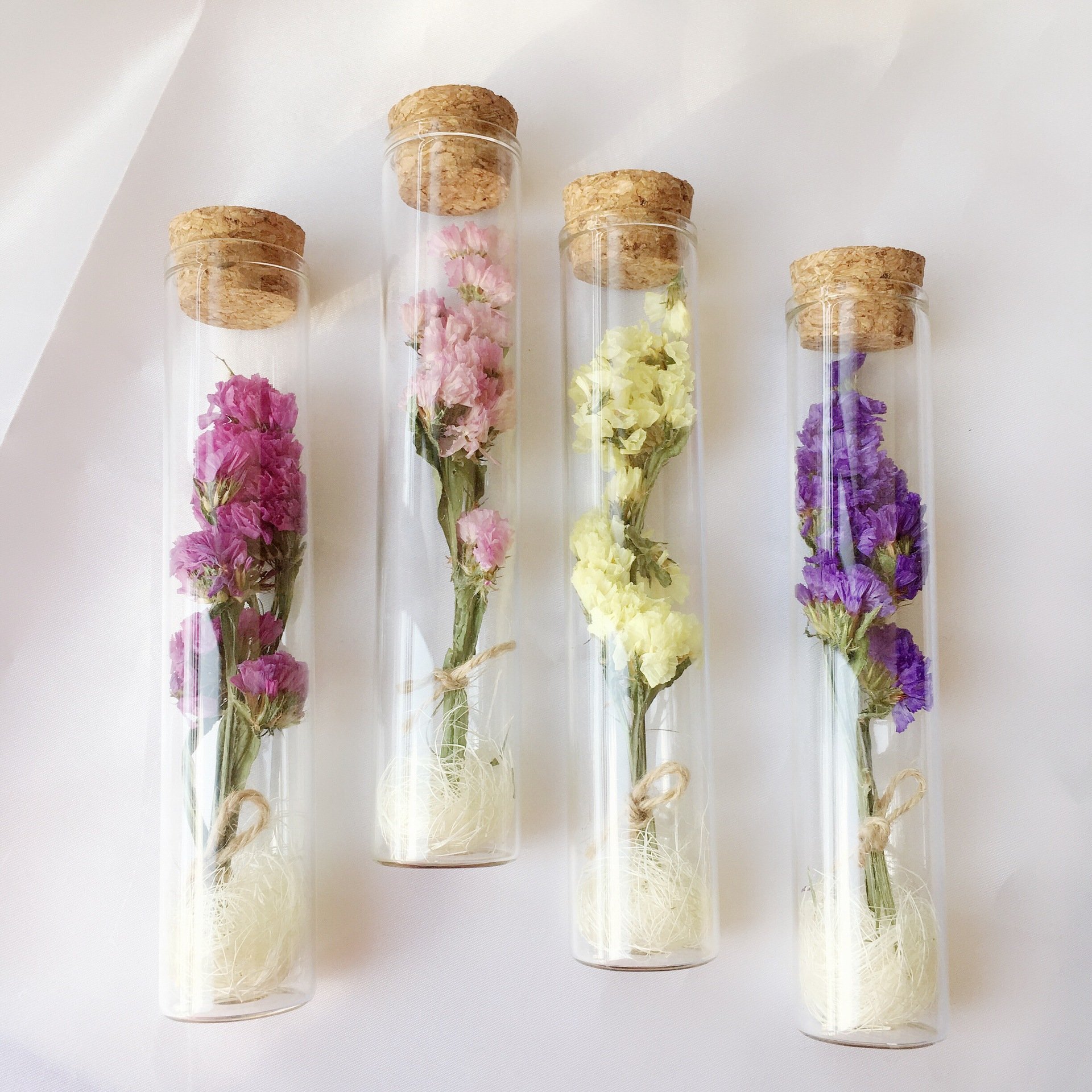 Real Preserved Roses Dried Flowers For Gifts