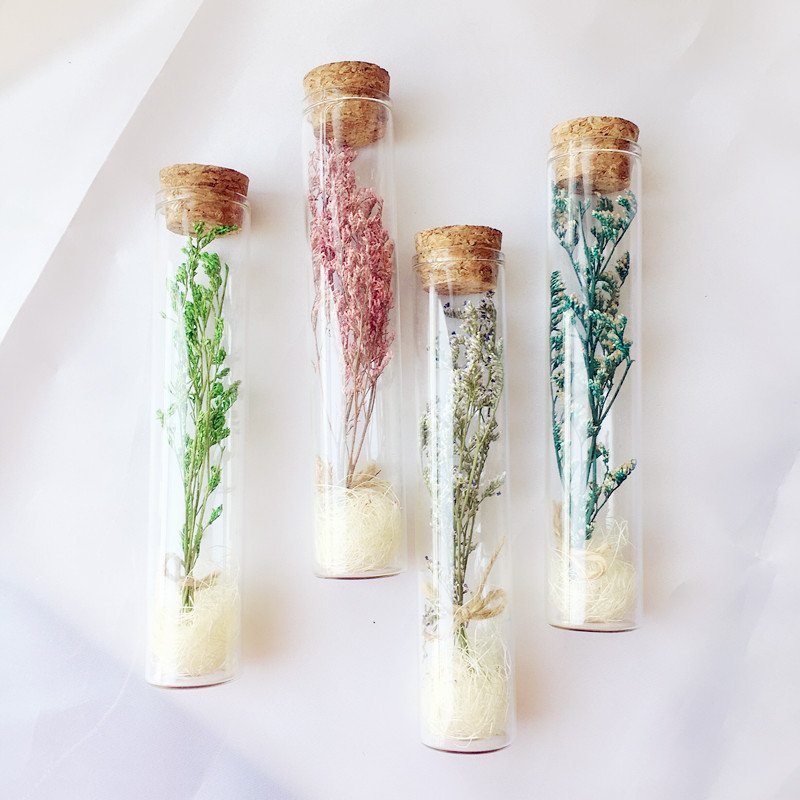 Real Preserved Roses Dried Flowers For Gifts