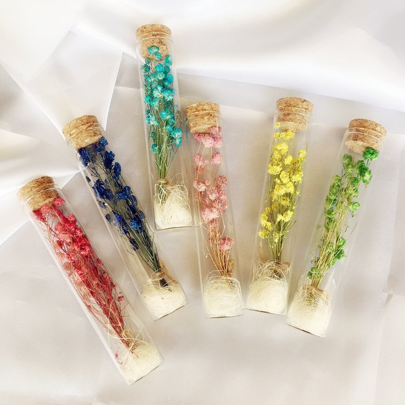 Real Preserved Roses Dried Flowers For Gifts