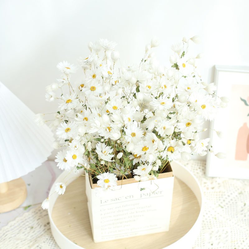 Preserved Dried Rhodanthe Manglesii White and Pink Daisies for Gift Wedding Home Decoration