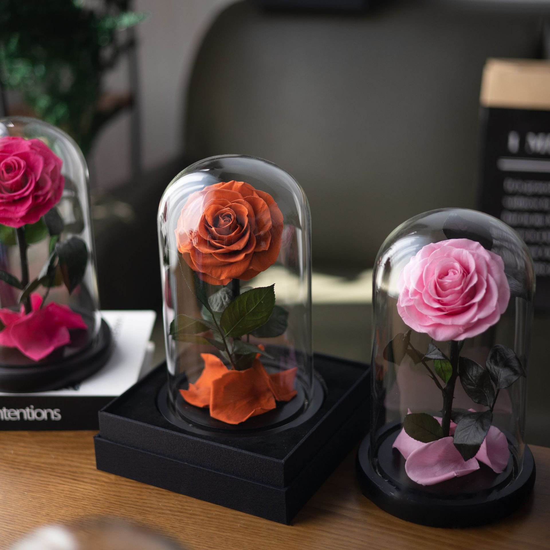 Beauty And The Beast Rose Personalized Customized Forever Roses Real Preserved Eternity Rose In Glass Dome