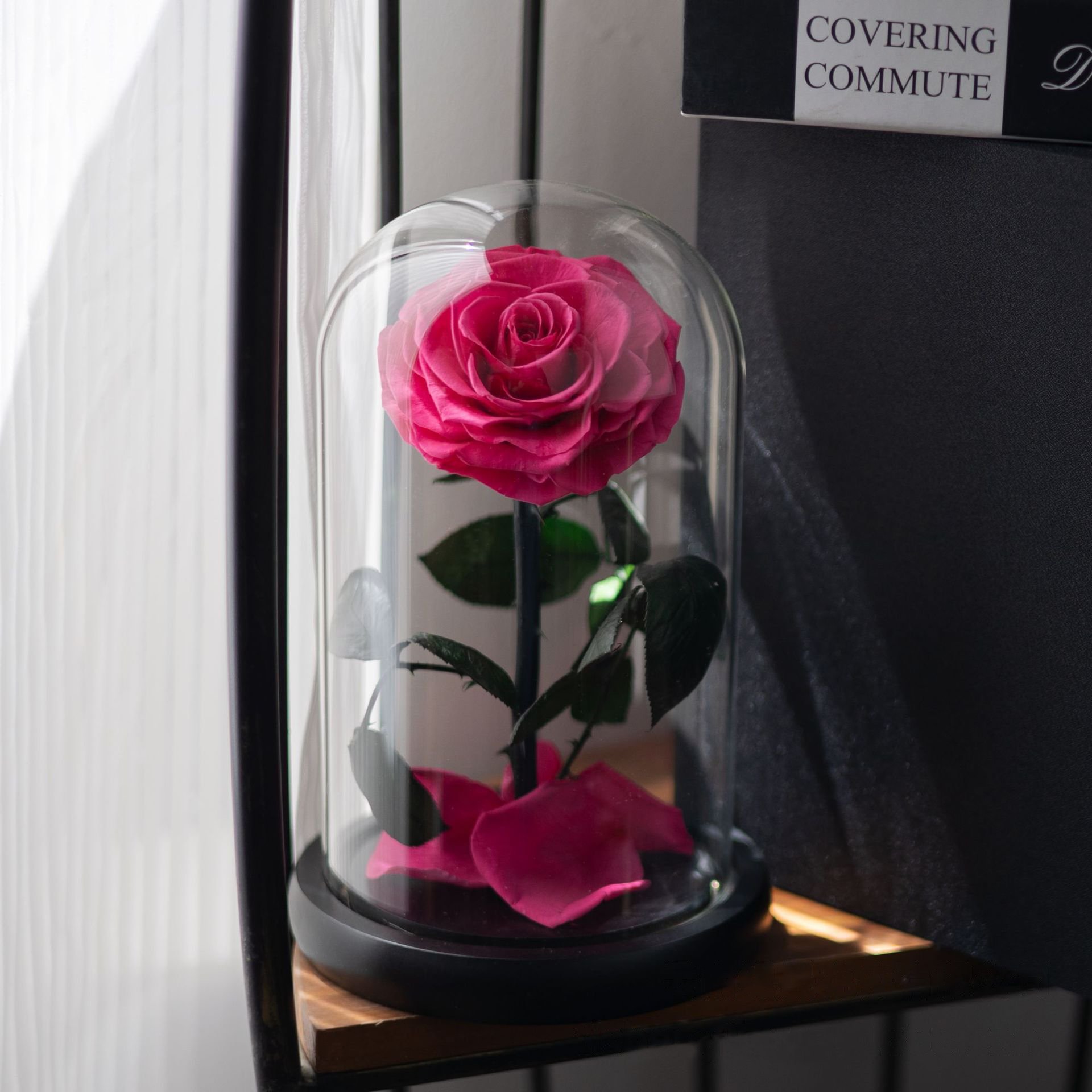 Beauty And The Beast Rose Personalized Customized Forever Roses Real Preserved Eternity Rose In Glass Dome