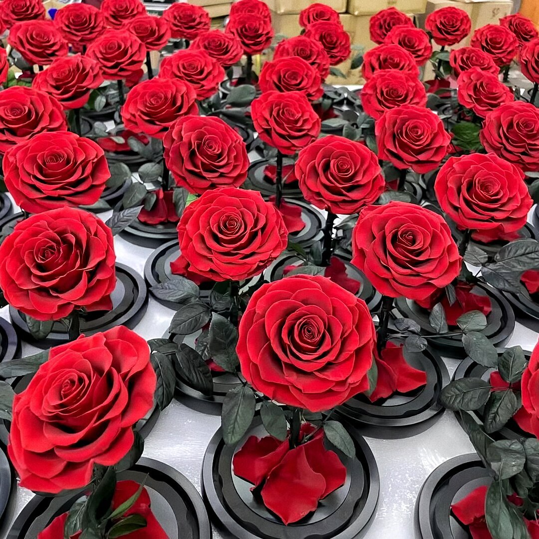 Wholesale Beauty Eternal Preserved Roses Flower Classics Eternal Preserved Roses Flower In Glass Dome