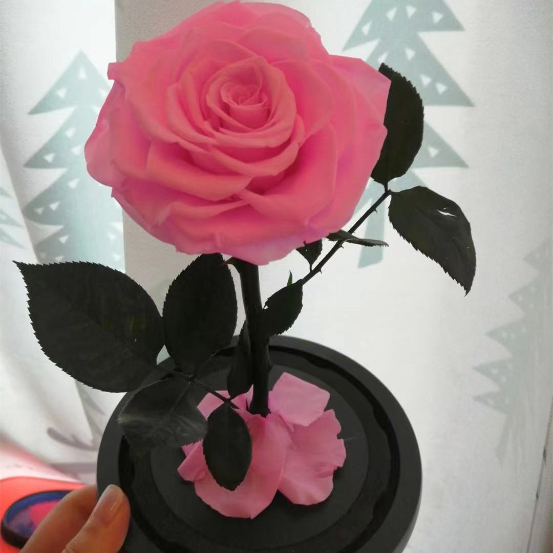 Wholesale Beauty Eternal Preserved Roses Flower Classics Eternal Preserved Roses Flower In Glass Dome