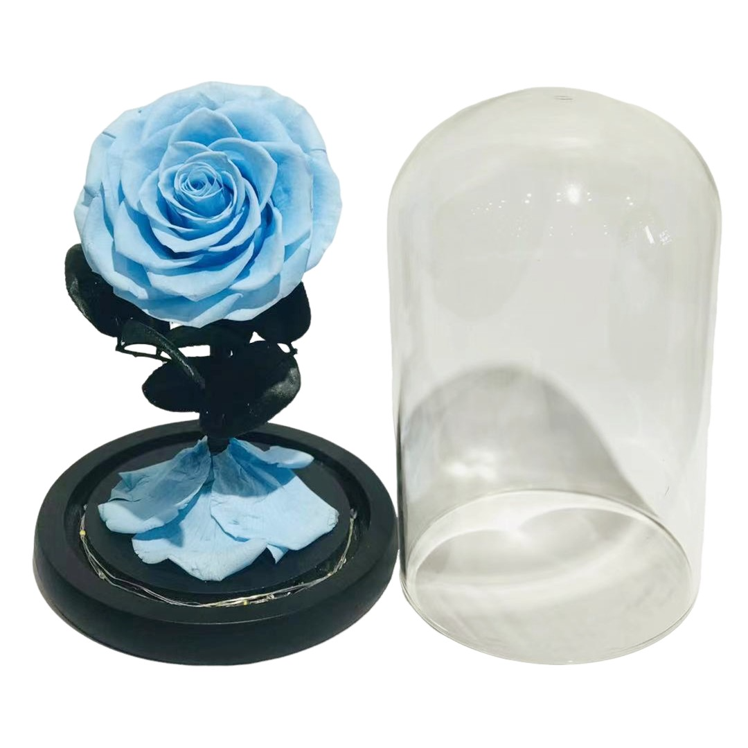 Wholesale Beauty Eternal Preserved Roses Flower Classics Eternal Preserved Roses Flower In Glass Dome