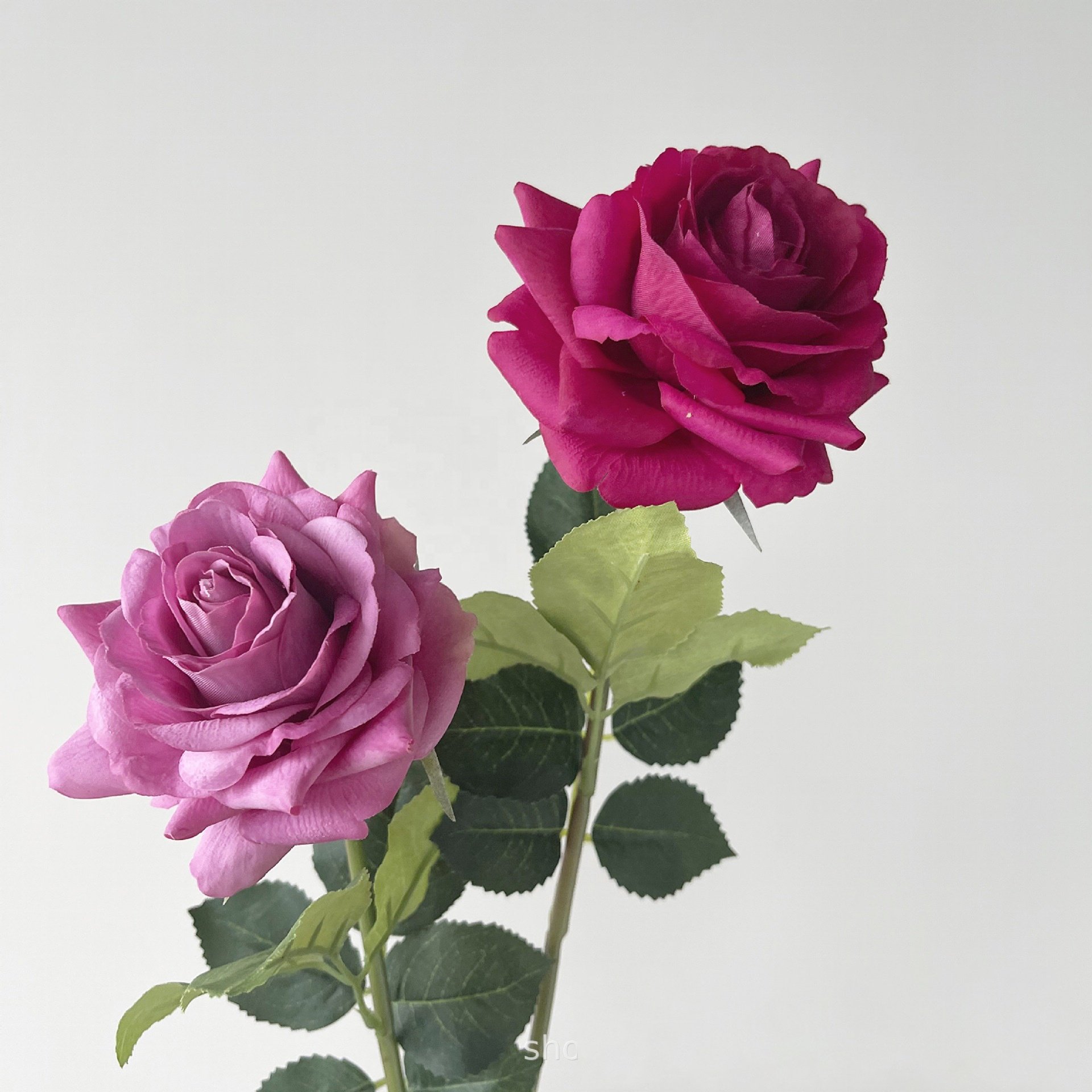 O-X742 Wholesale Single Stem Real Touch Roses Wedding Decorative High Quality Moisturize White Real Touch Artificial Roses