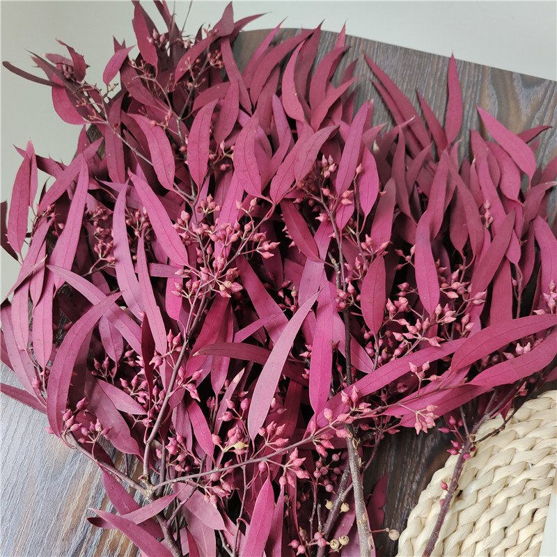 Preserved Eucalyptus Olive Seeded Willow Leaves for Indoor Home & Office Decor; Millet Leaf Party Decoration Plants