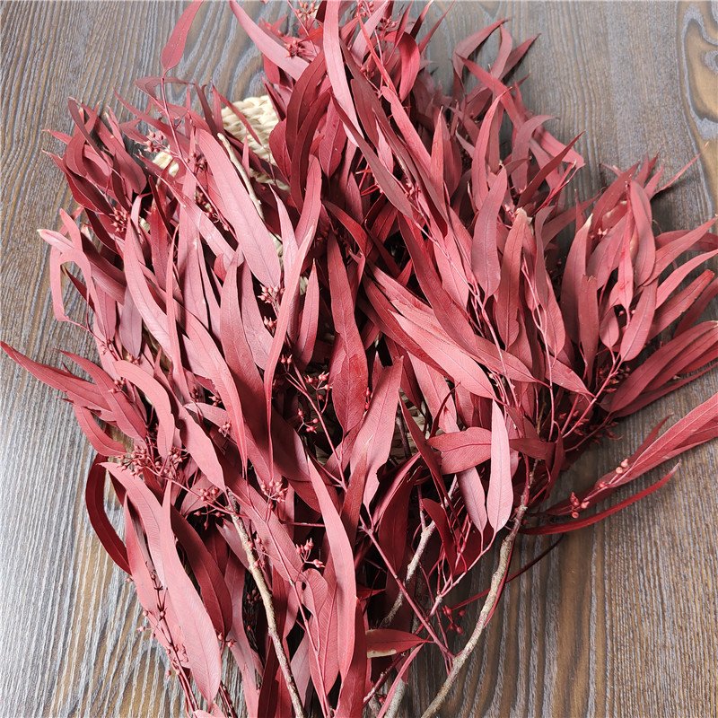 Preserved Eucalyptus Olive Seeded Willow Leaves for Indoor Home & Office Decor; Millet Leaf Party Decoration Plants