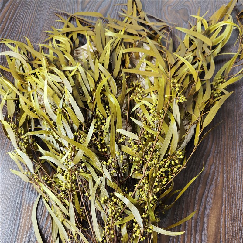 Preserved Eucalyptus Olive Seeded Willow Leaves for Indoor Home & Office Decor; Millet Leaf Party Decoration Plants