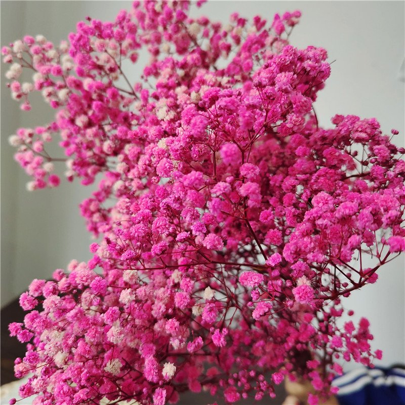 Preserved Baby's Breath Flower for Wedding 1 Bundle of 100-120g Handicraft Arrangement for Household Use