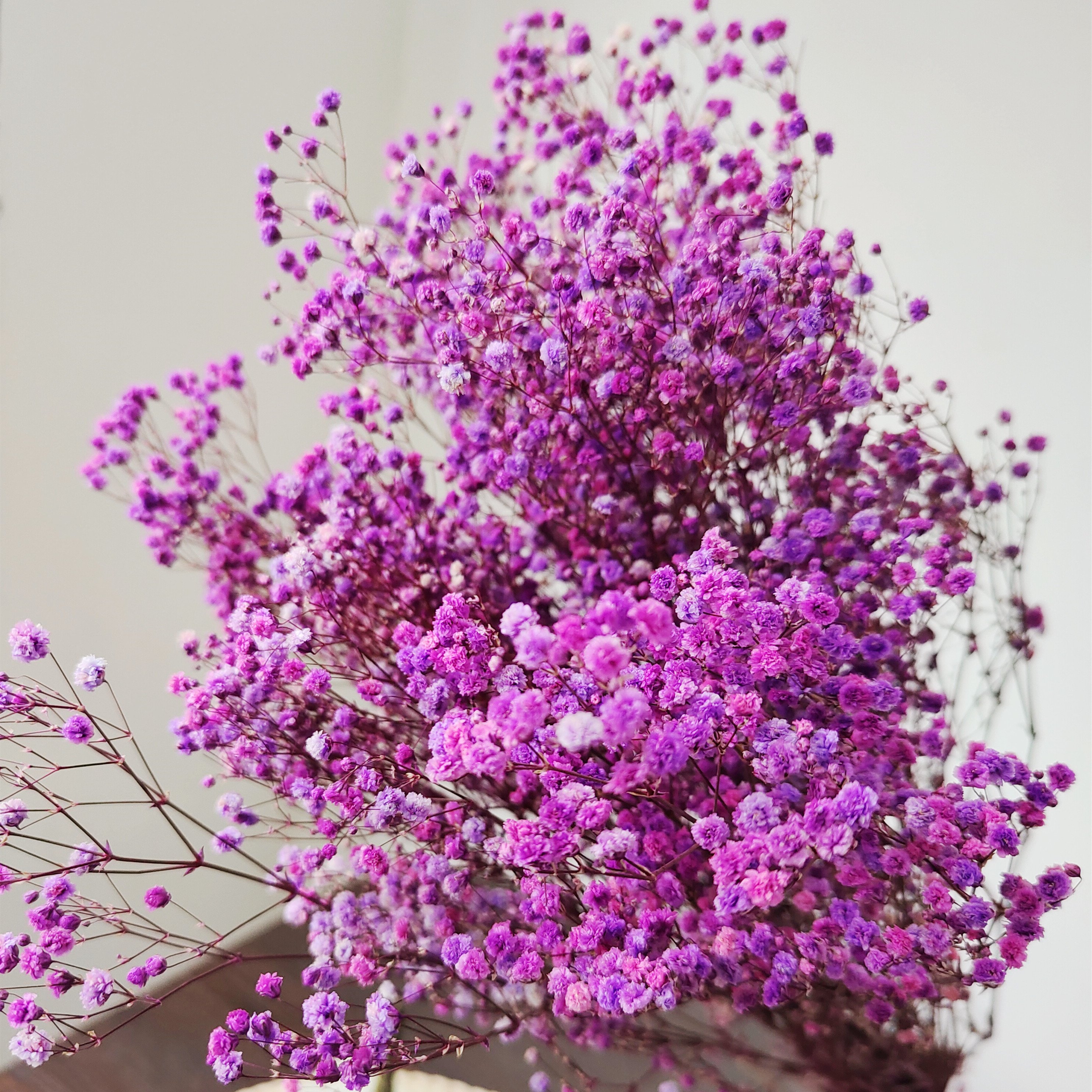 Preserved Baby's Breath Flower for Wedding 1 Bundle of 100-120g Handicraft Arrangement for Household Use
