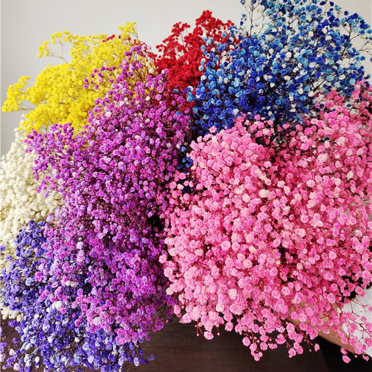 Preserved Baby's Breath Flower for Wedding 1 Bundle of 100-120g Handicraft Arrangement for Household Use
