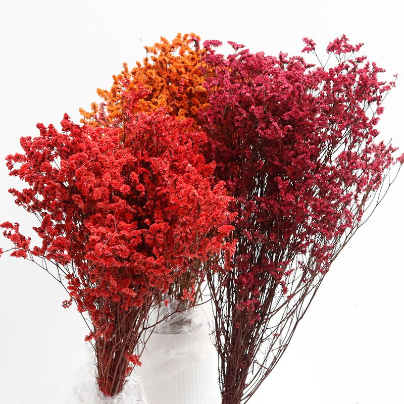 Preserved Natural Caspia Grass , German Statice Flower, Crystal grass