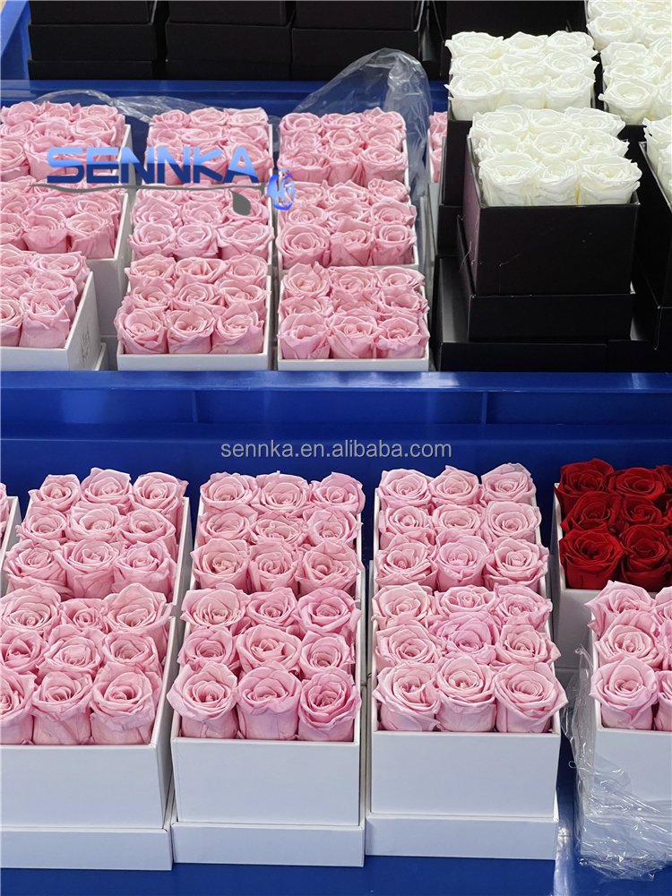 China Sennka Preserved Roses In square Gift Box For Christmas
