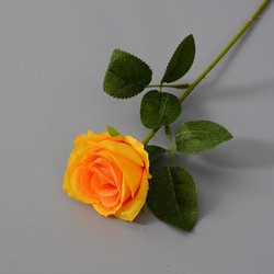 SKU5