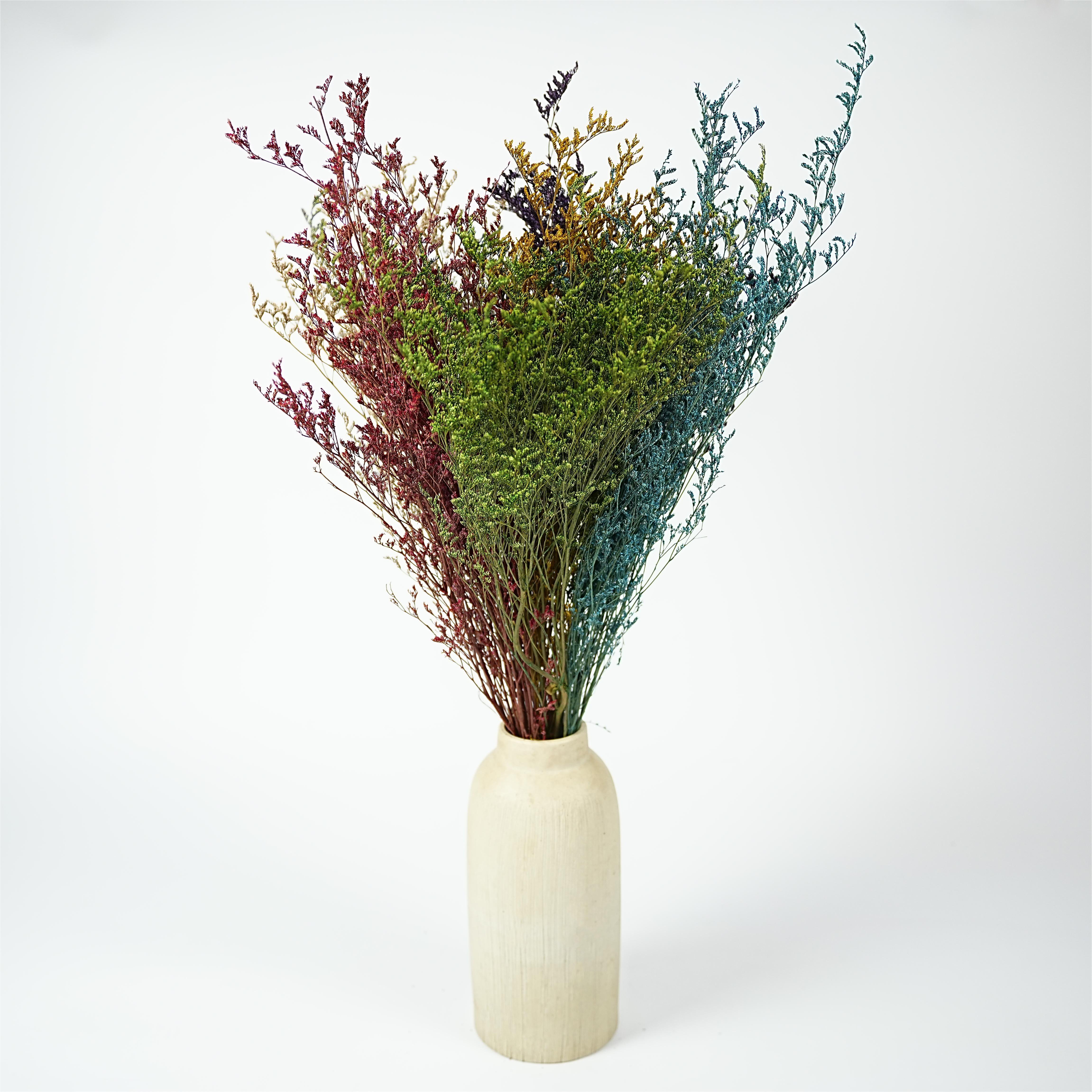 Codariocalyx motorius Valentine's Day holiday gifts wedding decoration valentine grass dried flowers colorful crystal grass