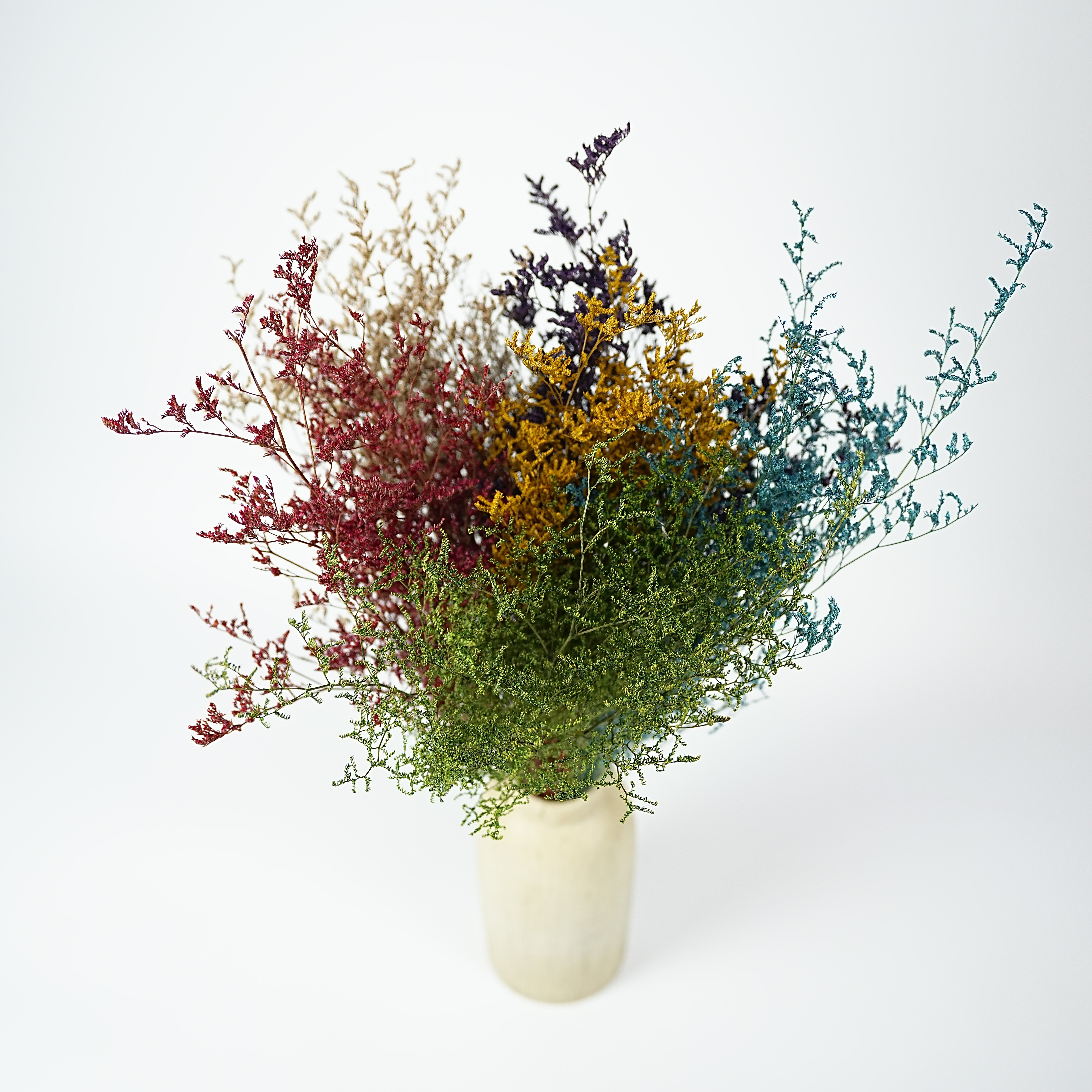 Codariocalyx motorius Valentine's Day holiday gifts wedding decoration valentine grass dried flowers colorful crystal grass