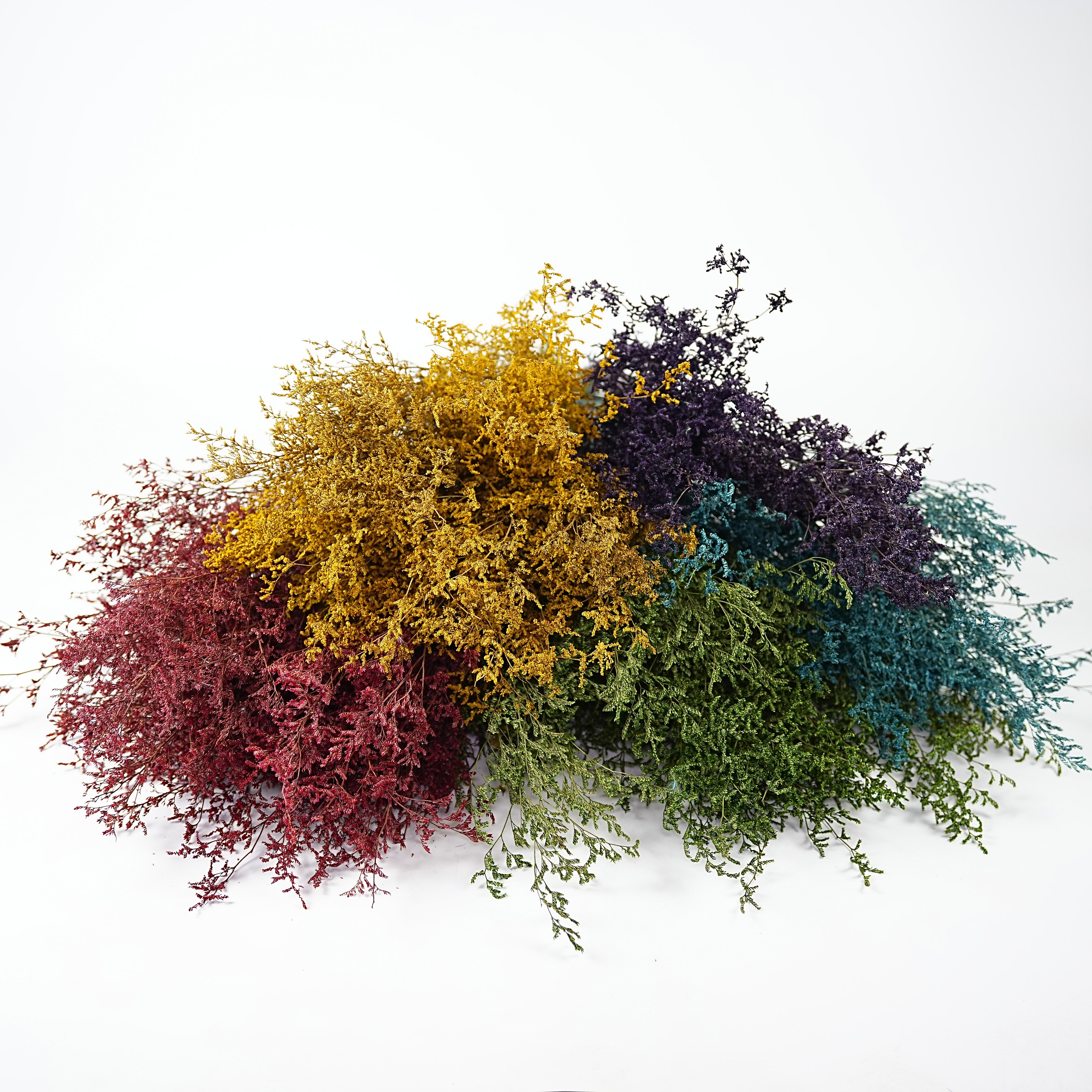 Codariocalyx motorius Valentine's Day holiday gifts wedding decoration valentine grass dried flowers colorful crystal grass