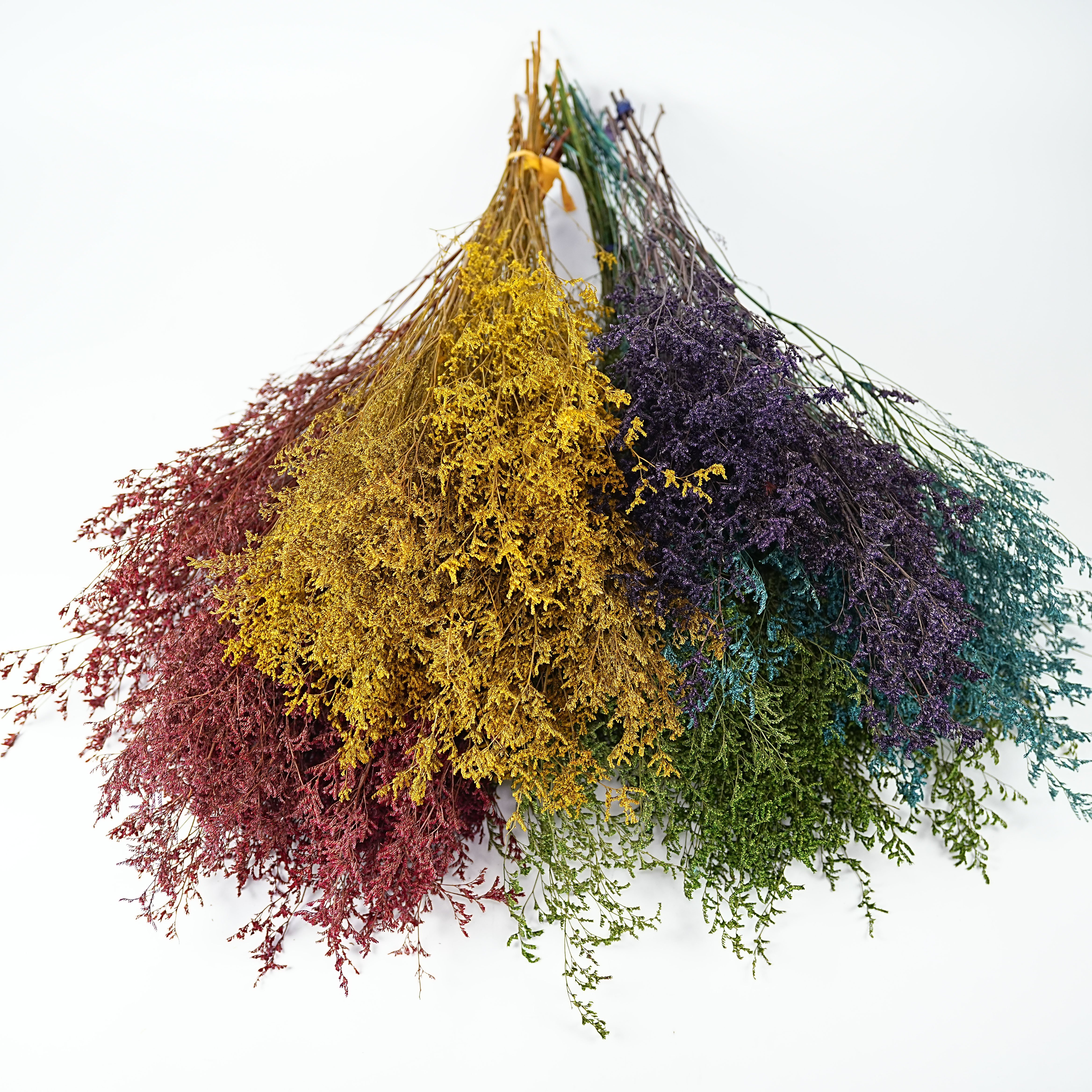 Codariocalyx motorius Valentine's Day holiday gifts wedding decoration valentine grass dried flowers colorful crystal grass