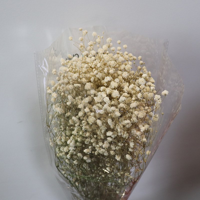 Wholesale custom color bouquet flower babies breath preserved gypsophila flower for Valentine's Day gifts & wedding decoration