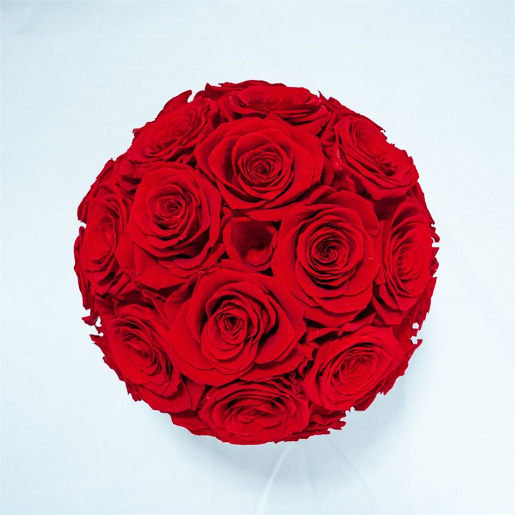 Top Quality preserved flowers dome shape Valentines Rose Box Eternal Everlasting Flowers Preserved Real Rose Flower Box