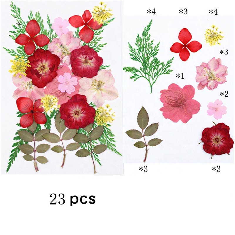 M388 Wholesale DIY Flower Press Kit Dried Pressed Flowers Natural Real Dried Pressed Flowers For Resin Art Phone Case Frames