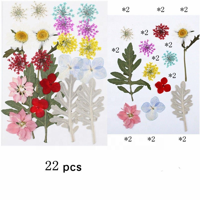 M388 Wholesale DIY Flower Press Kit Dried Pressed Flowers Natural Real Dried Pressed Flowers For Resin Art Phone Case Frames